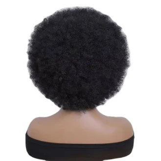 Wholesale Heat Resistant Synthetic Hair Afro Curly Premium Luxury Wigs for Women Hot Sale Factory Direct