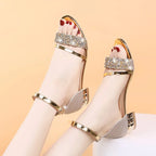 2024 New Fashion Women's Sandals Gold and Silver Low Heel Casual Shoes Women Open Toe Summer Light Fashion Women's Shoes
