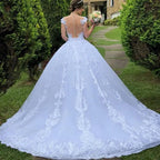 Brides Wedding Dress V-neck Luxury Lace Wedding Gown With Train Classic Ball Gown Plus Size Customized Vestido De Noiva
